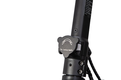 Electric scooter Kukirin G2 MASTER